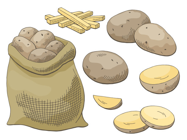 矢量土豆插画