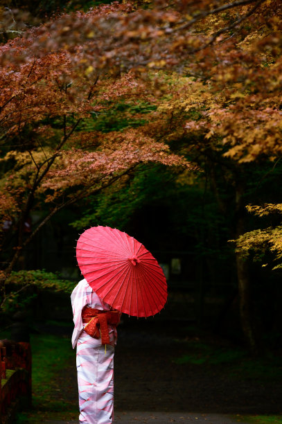 日本雨伞