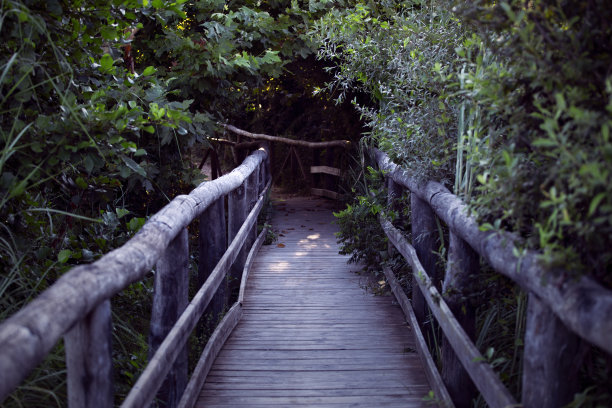 景观桥步道