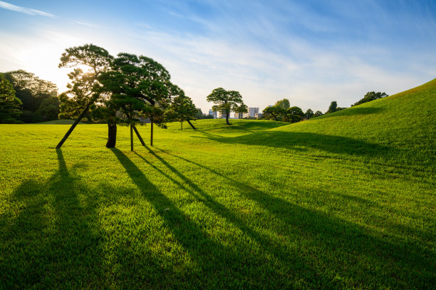 春天夏天春意风景美景