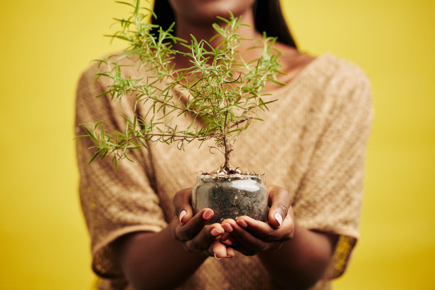 植树节宣传