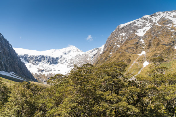 habitat