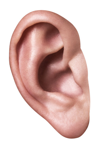 ear