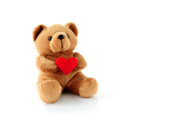 teddy