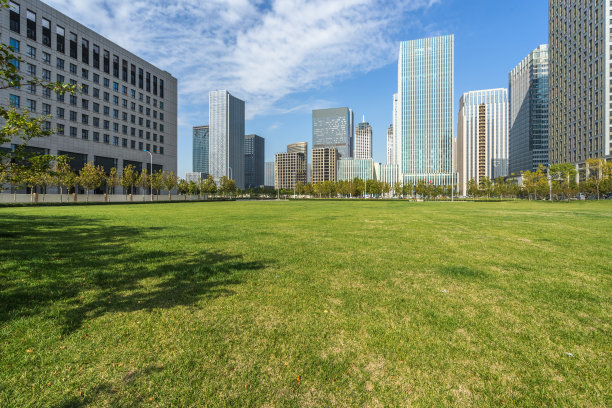全国生态日背景