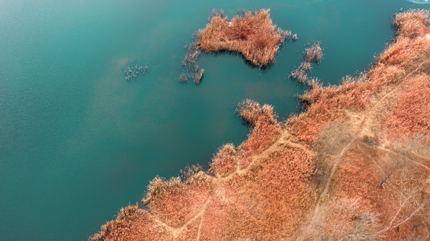 航拍湖泊秋季森林河流