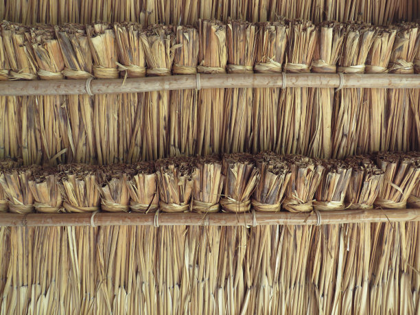 竹纹编织纹