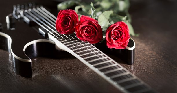 吉它玫瑰