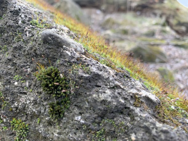 群山高山瀑布清明节