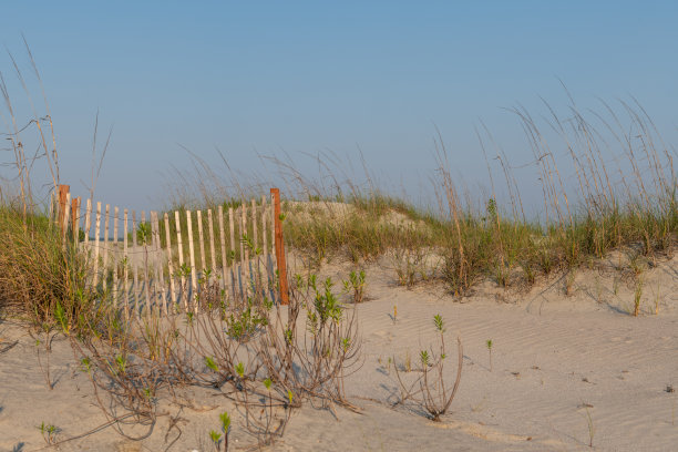 beach-access