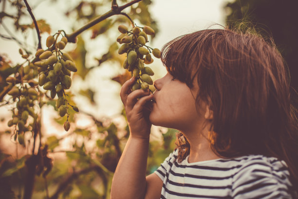 摘葡萄的少女