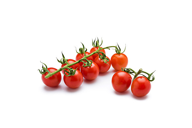 小番茄组合