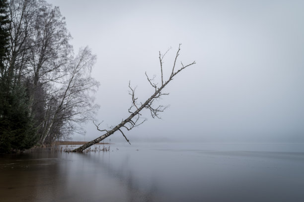 深秋湖面薄雾风景图