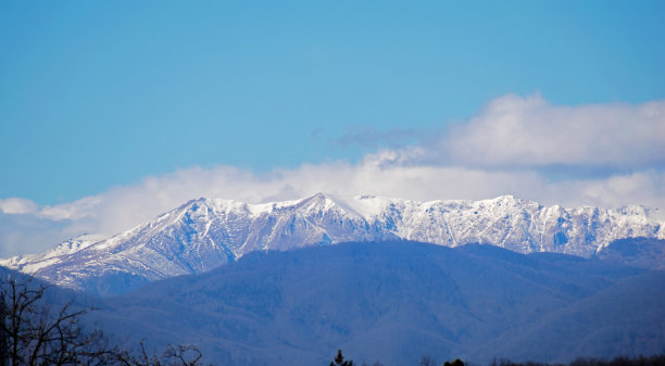 积雪覆盖草坪