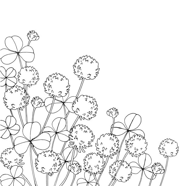 线描花卉