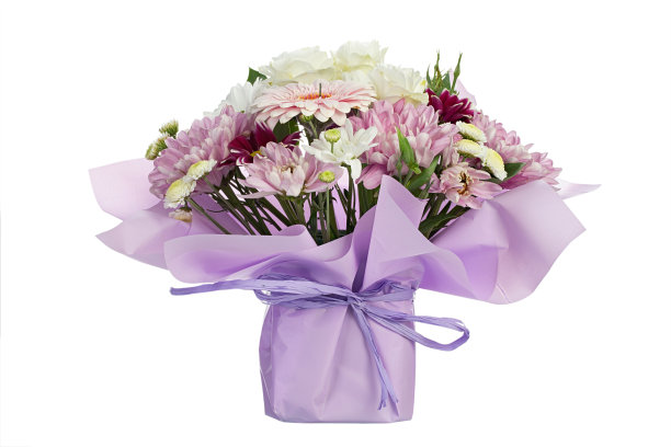 康乃馨 紫色 花束 礼品 装饰