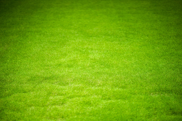 足球场素材,足球场草坪