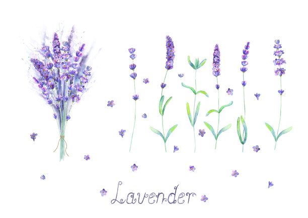 provence