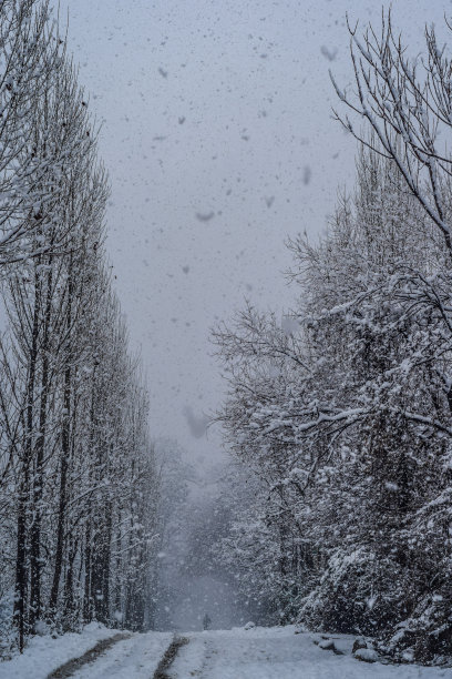 雪天抽象风景