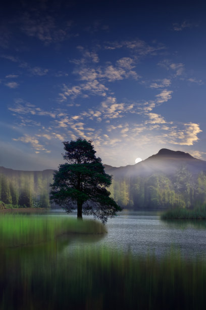 梦幻风景