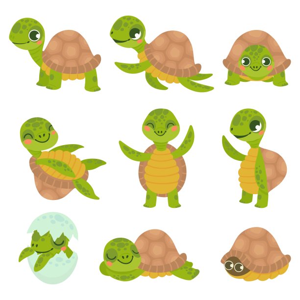turtle