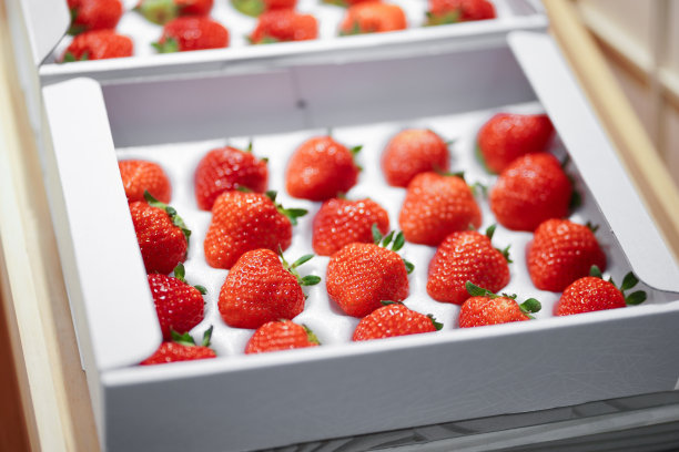 树莓包装盒
