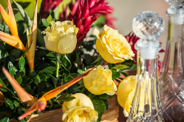 华丽绽放财富中心