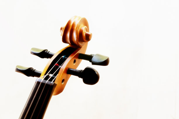 pegs