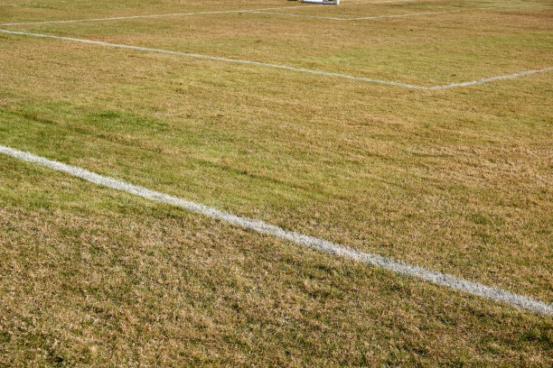 草坪上的橄榄球
