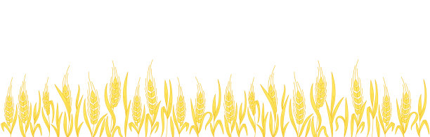 麦穗图案边框