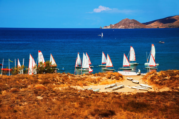 夏季运动会秋季运动会