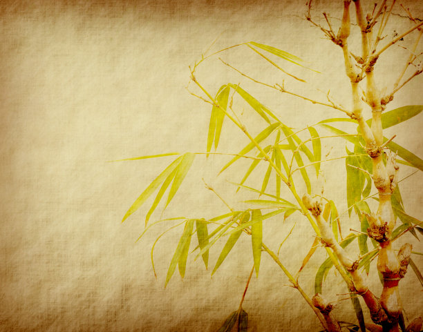 中国风底纹边框