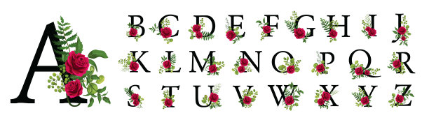玫瑰花朵字母创意