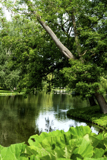 kampen