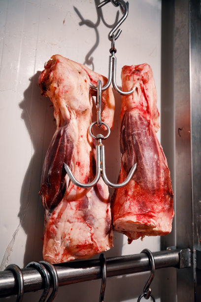 肉类加工