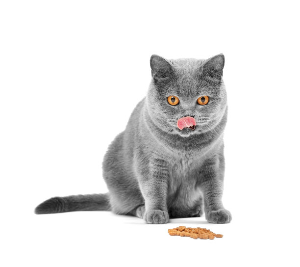 eat