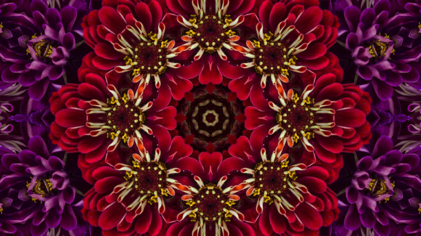 五彩斑斓绚丽抽象花