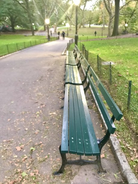 秋天在公园的长椅上