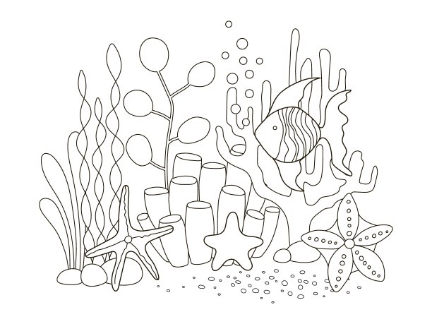 鱼类和藻类插画