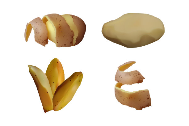矢量土豆插画