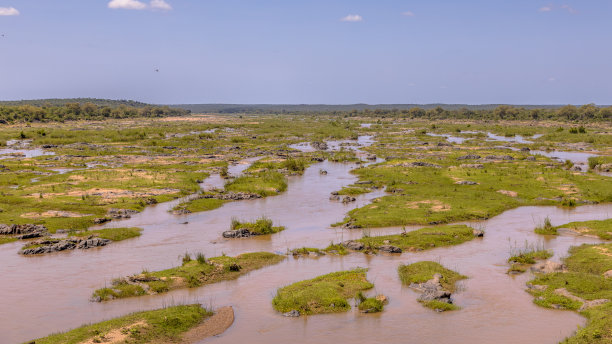 wetland