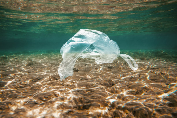 水上漂浮