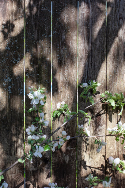 春日光影木板