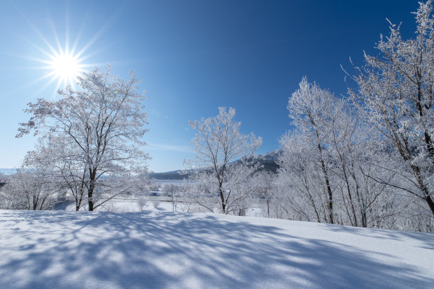 北海道冬景 