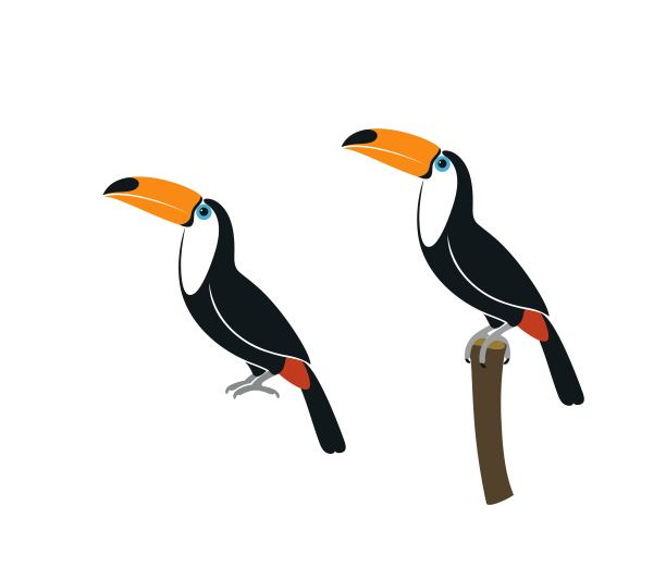 小鸟logo