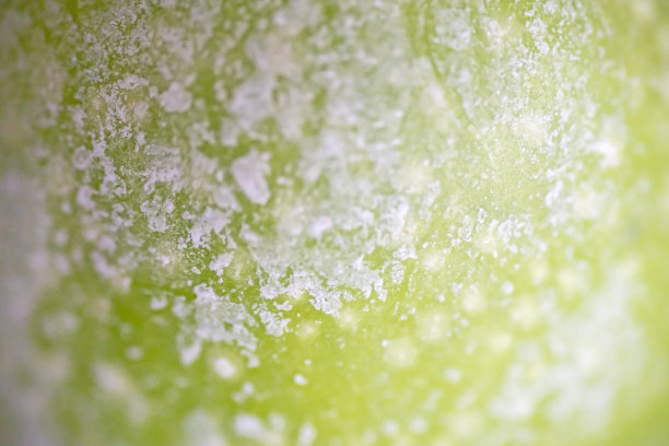 苹果透明背景素材