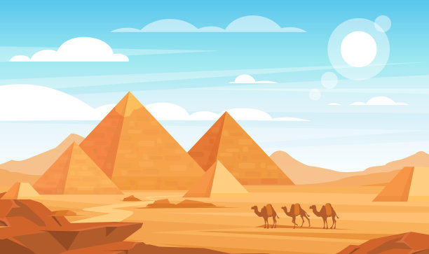 骆驼插画