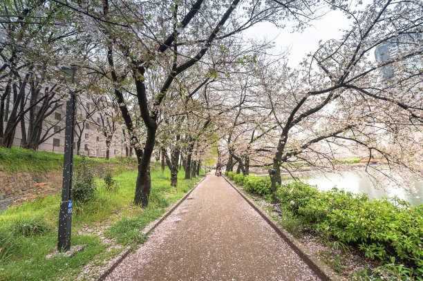 梅花隧道