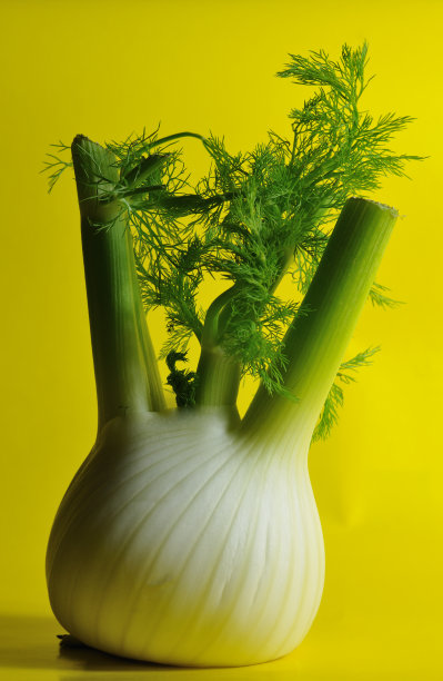 anise