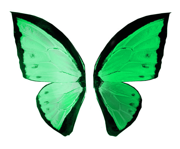 morpho